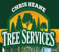 Chris Heane Tree Services image 1
